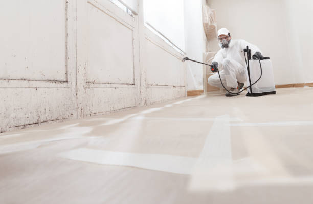 24/7 Emergency Attic Mold Remediation experts in Montclair, VA