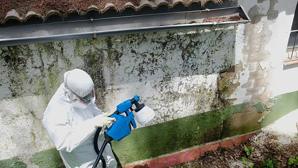 Top rated local Attic Mold Remediation specialists in Montclair, VA
